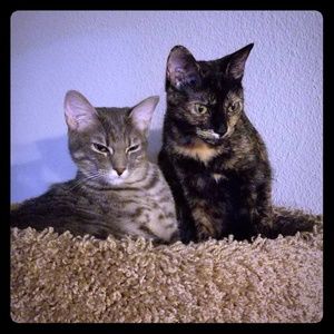 Meet your Posher, Samantha